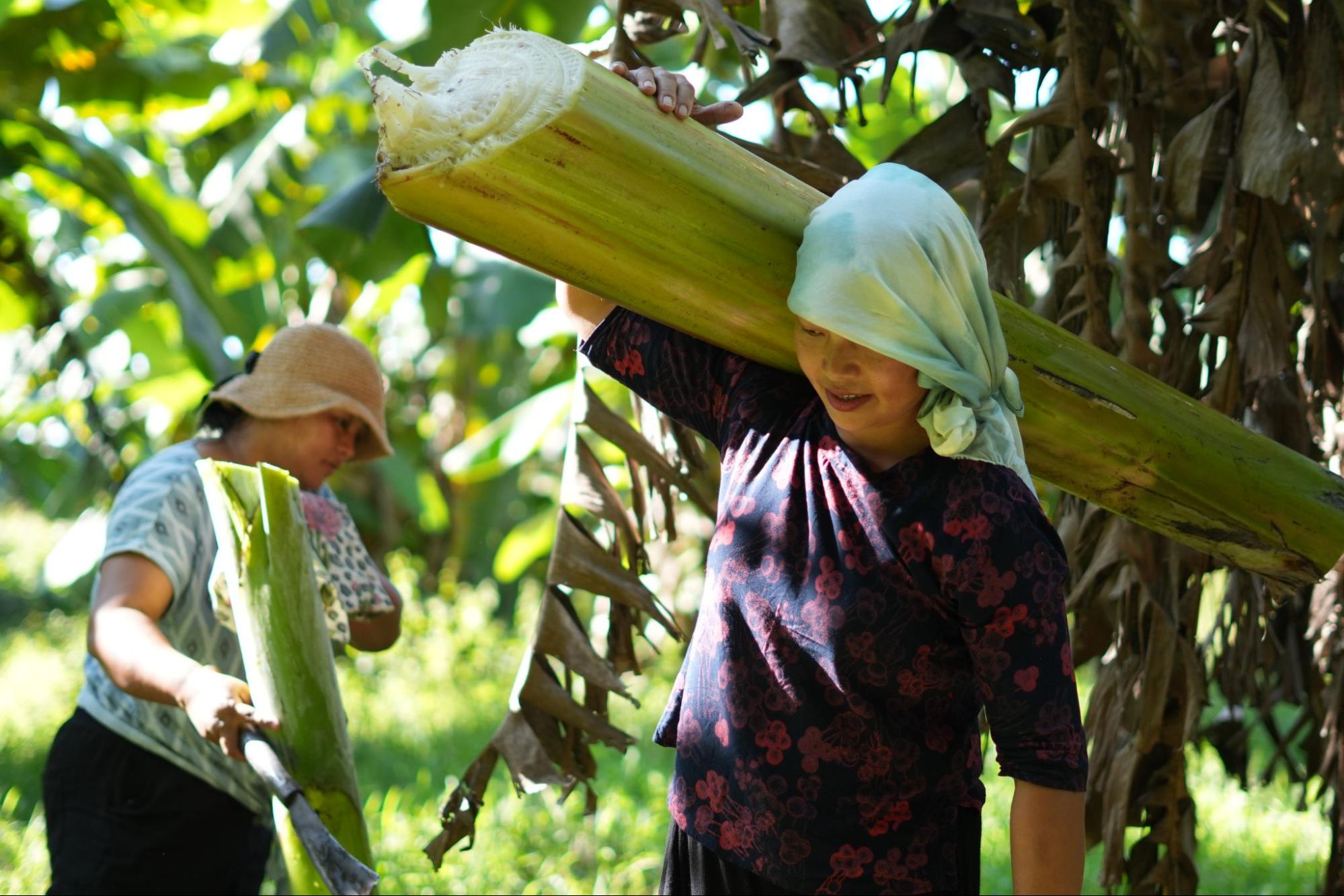 BPSV rural enterprise projects